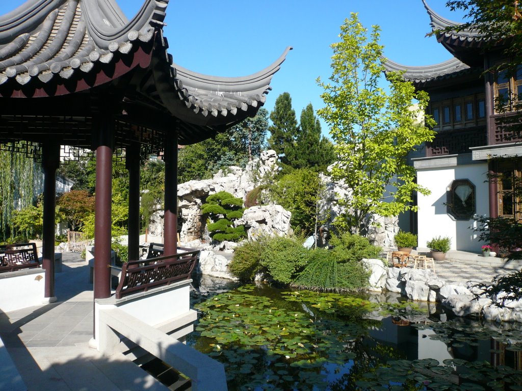 a view through the Chinese garden in Portland by shane_wallace