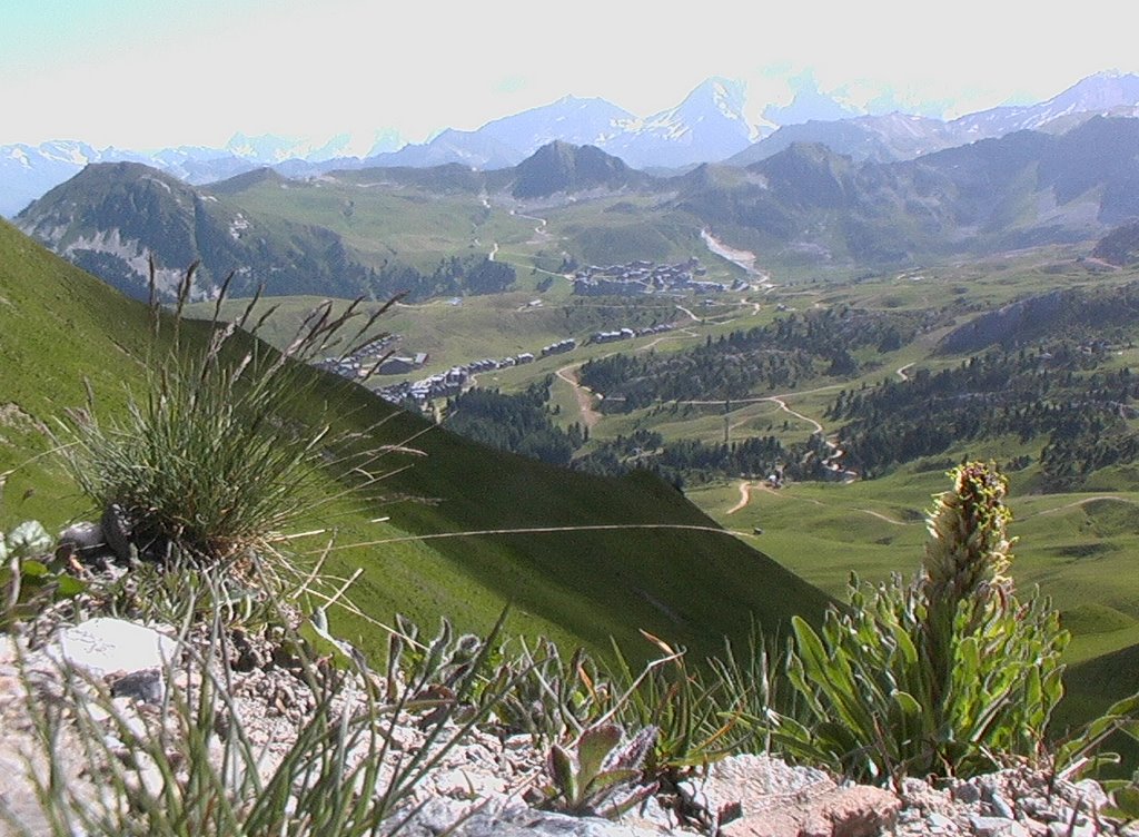 La Plagne - Col du Martinet - 2004 by Jean-Luc Pierrat