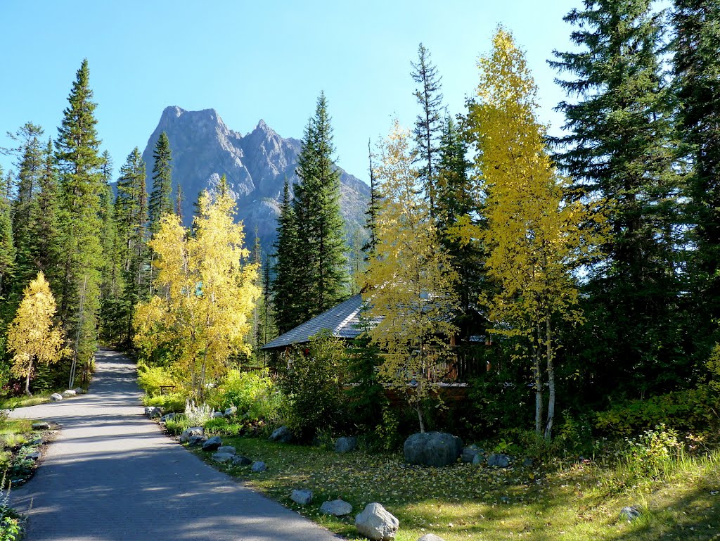 Fall colours / Jesienne kolory - Emerald Lake by Urszula K.