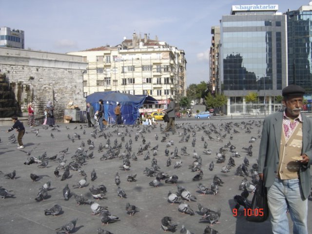 Taksim istanbul tauben by ilhansevinc