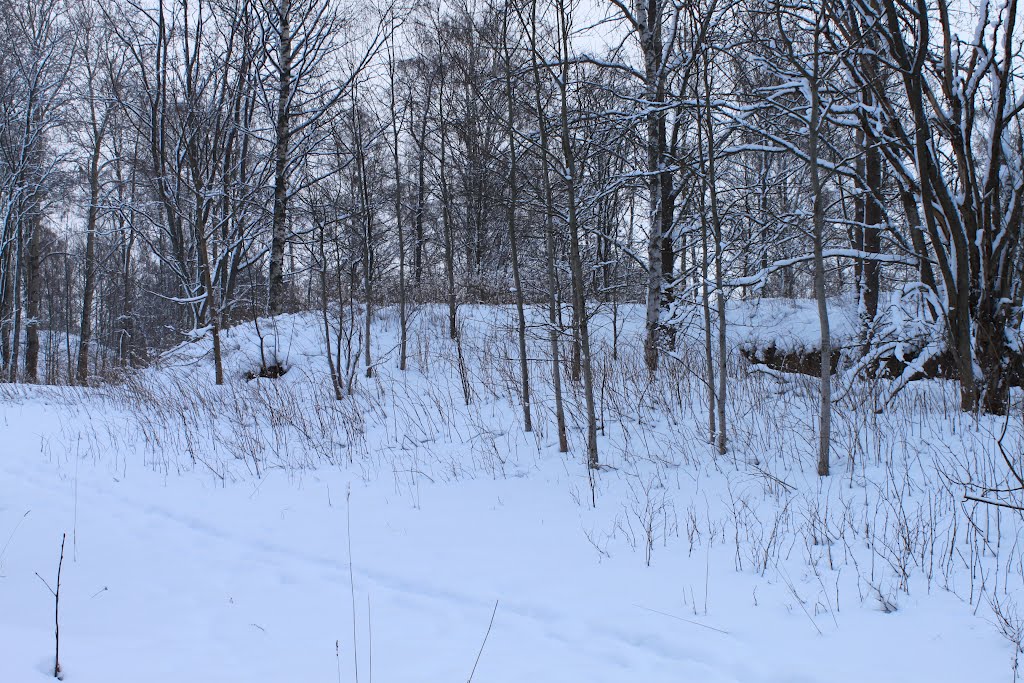 Krimin sodan aikaisen kanuuna patterin sijaintipaikka by Jorma Hokkanen