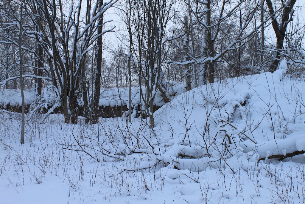 Krimin sodan aikaisen kanuuna patterin sijaintipaikka by Jorma Hokkanen