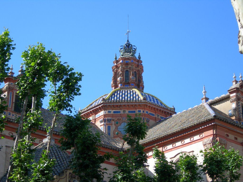 Cúpula de la Iglesia de la Magdalena by Erzigoto