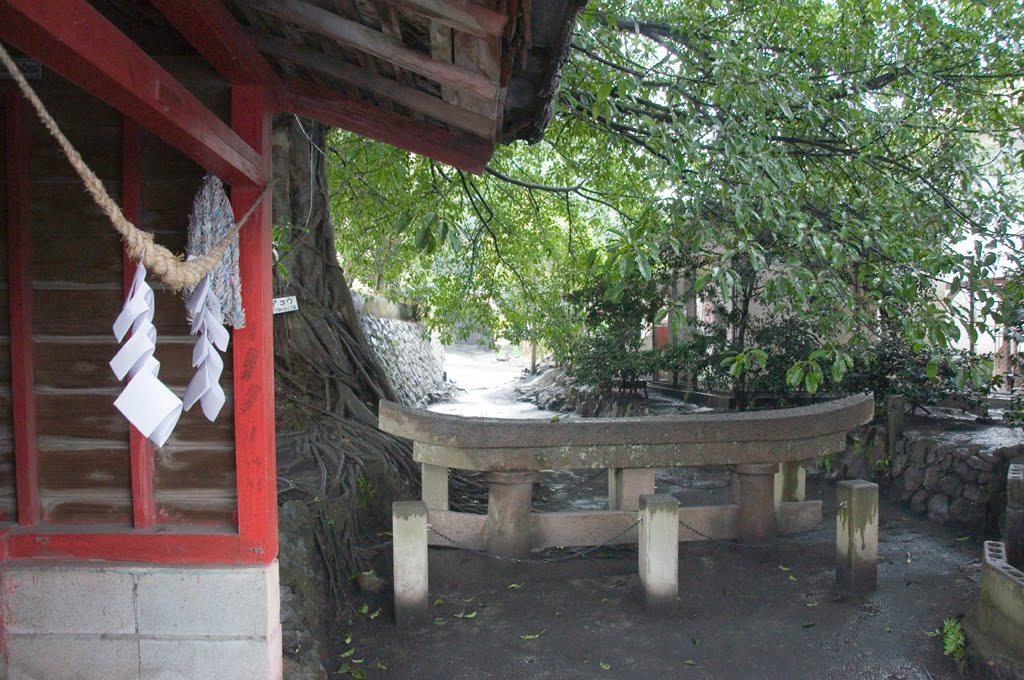 黒神埋沒鳥居 Buried torii at Kurokami by cymine