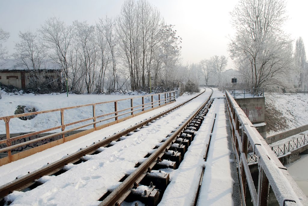 Pavia-Cremona al gelo by Dario P. Gastoni