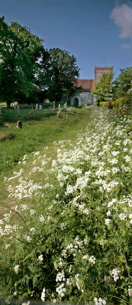 The Parish Church of All Saints, East Dean in summer by Robert2345