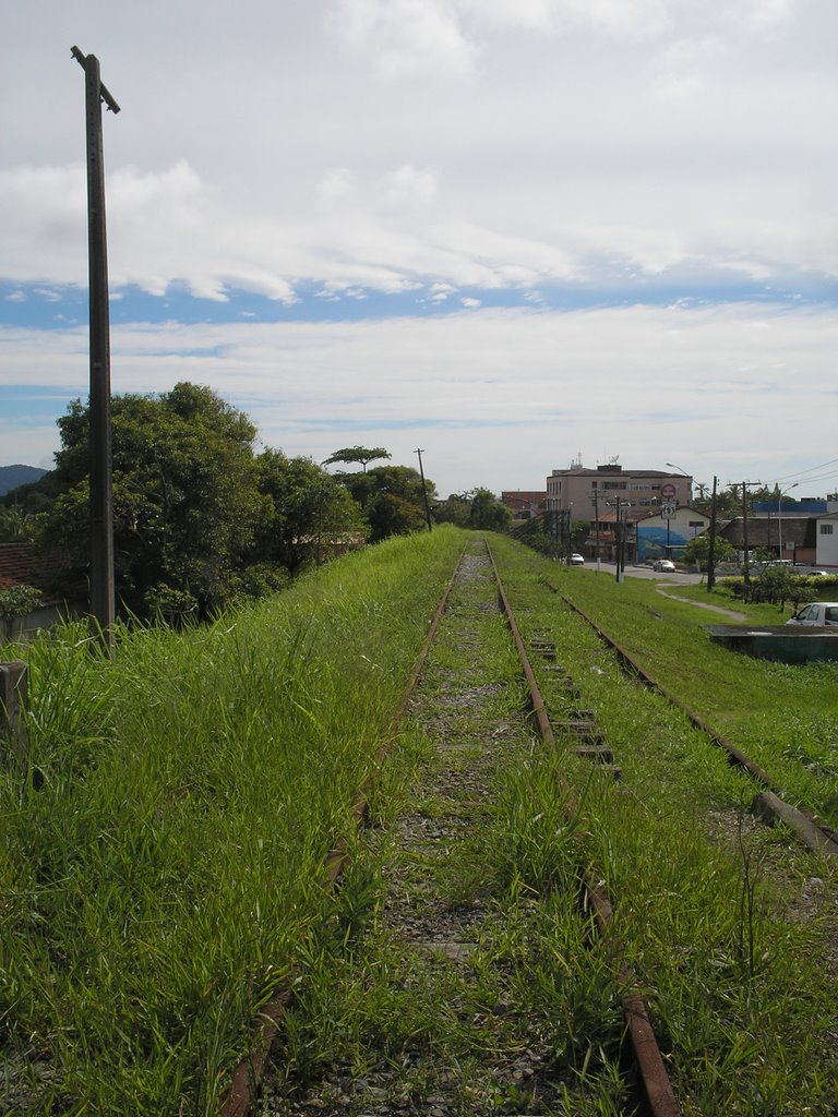 (EF Santos-Cajati) Via Férrea Desativada (Sentido Santos) - Itanhaem - Brasil by Marcelo Parise Petaz…