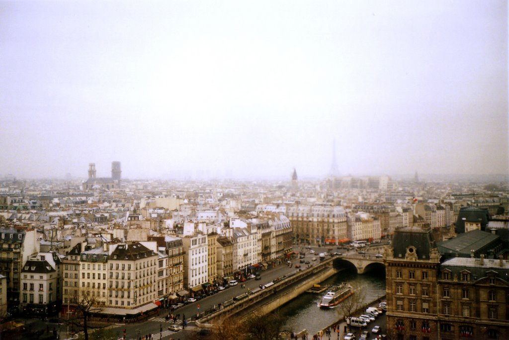 París from Notre Dame by raulitos76