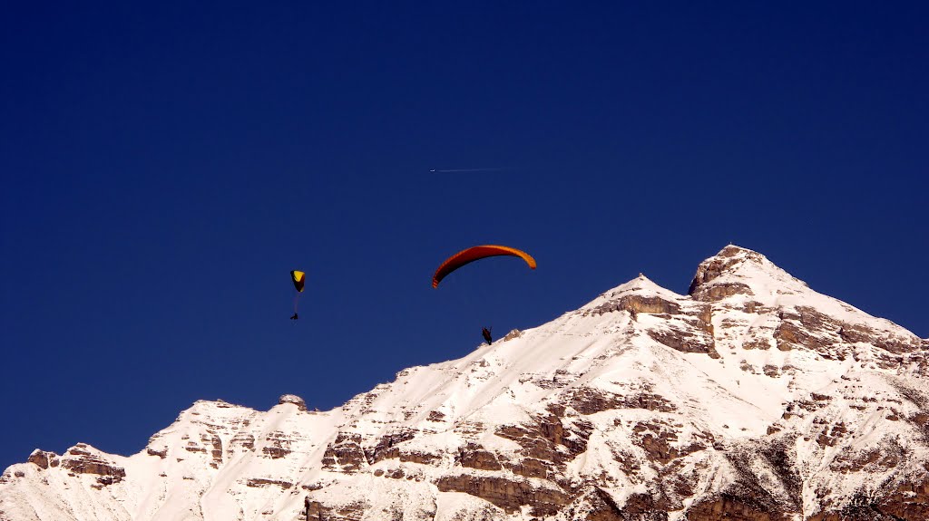 Paraglides in Stubai by Gajdusci