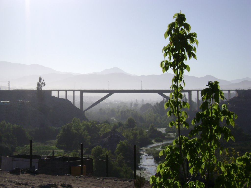 PUENTE VALLENAR by JFLOWER