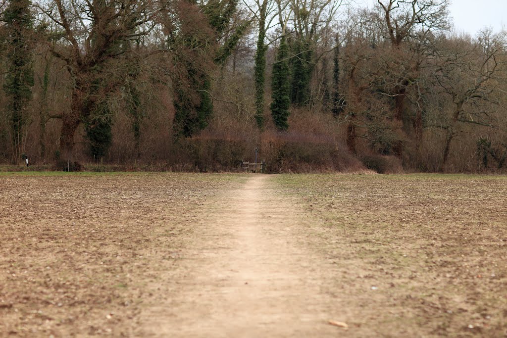 Path Over Empty Field by QuentinUK