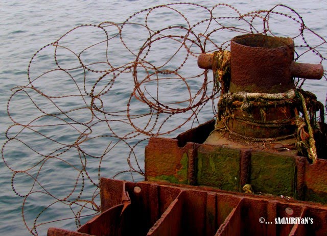 Fencing.... by sAdAfRiYaN's......