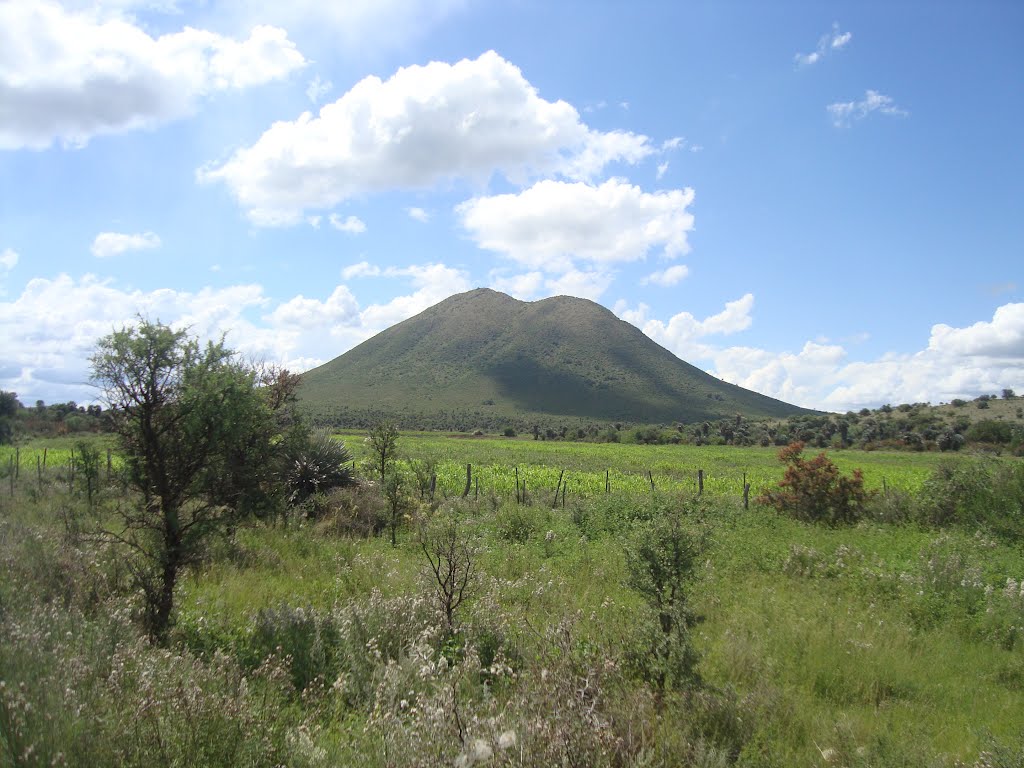 Cerro cienaga, ex ruta nacional by lalupipi