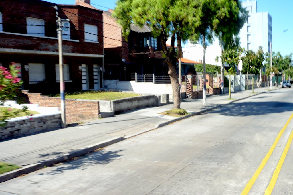 Calle Avenida General Rivera by servicioti