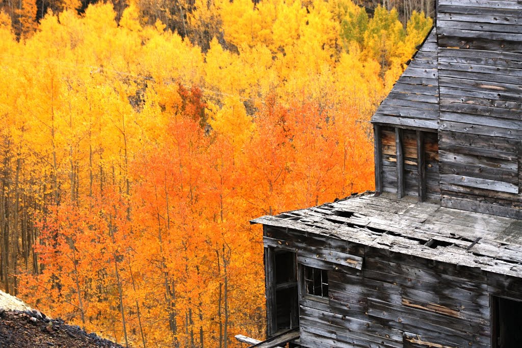 Cripple Creek, CO by Jeff Force