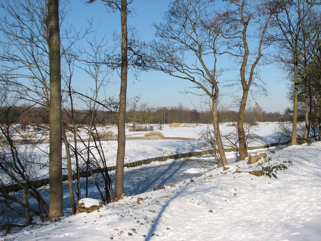 Zicht vanaf Buurtweg op besneeuwd golfterrein by Piet Guijt