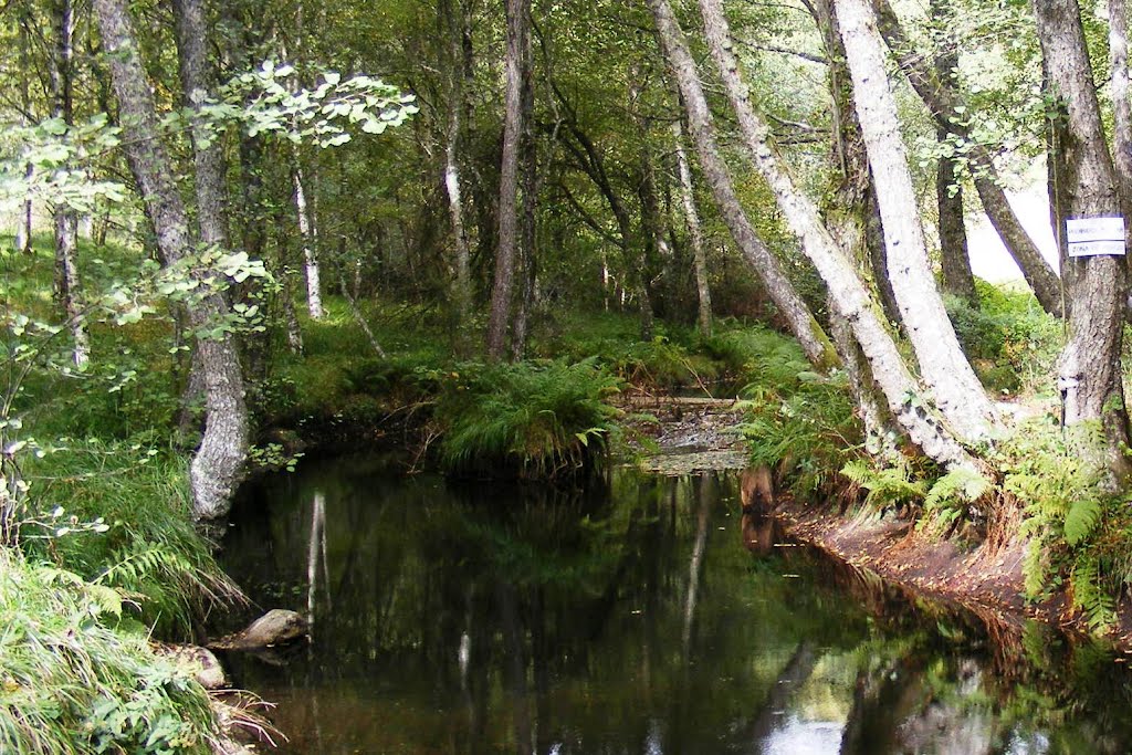 Parque das Caldas de Carvalhelhos by Bruno Esteves ©