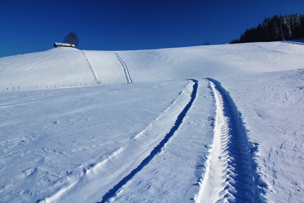 Linden in Emmental - Svizzera by alfonso minoli