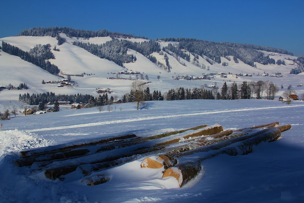 Linden in Emmental - Svizzera by alfonso minoli