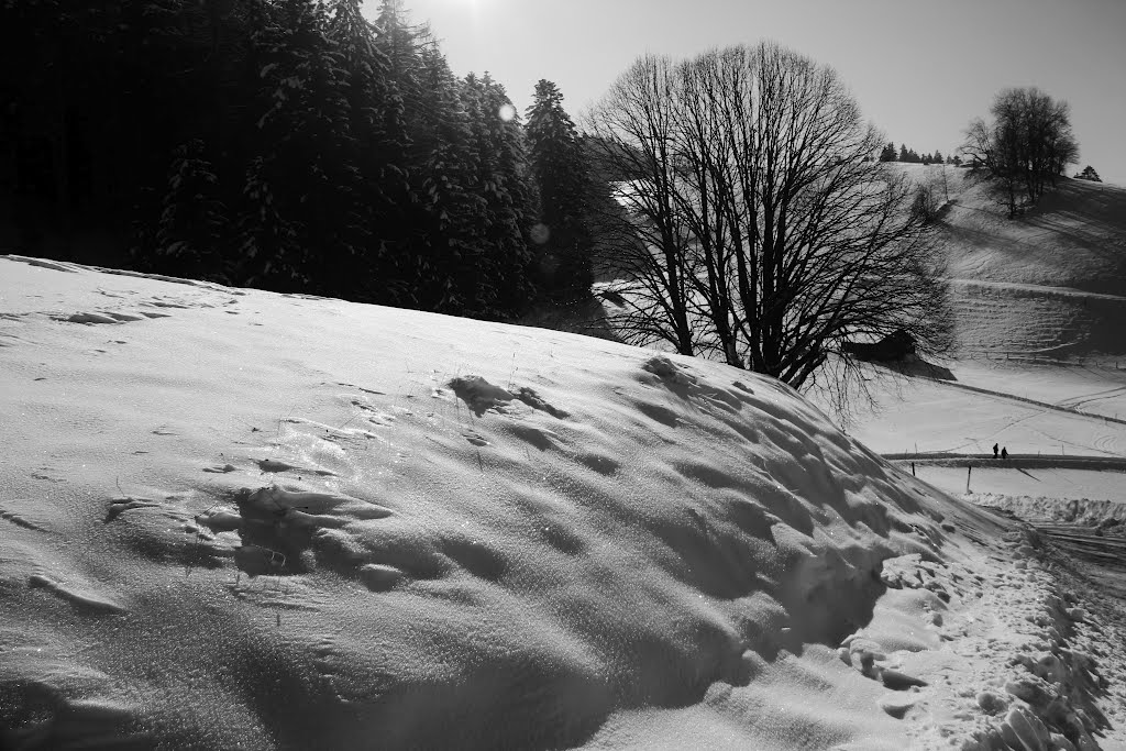 Linden in Emmental - Svizzera - Luci e ombre by alfonso minoli