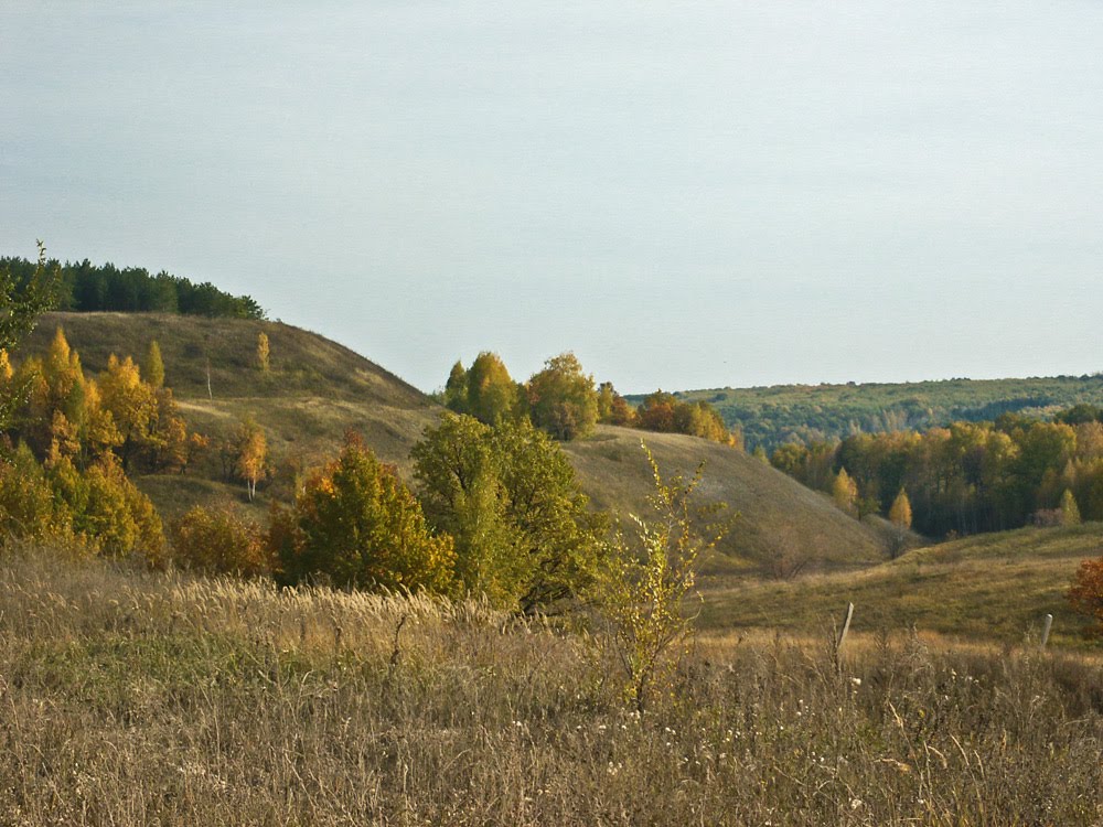 Осень. Овраги by MILAV