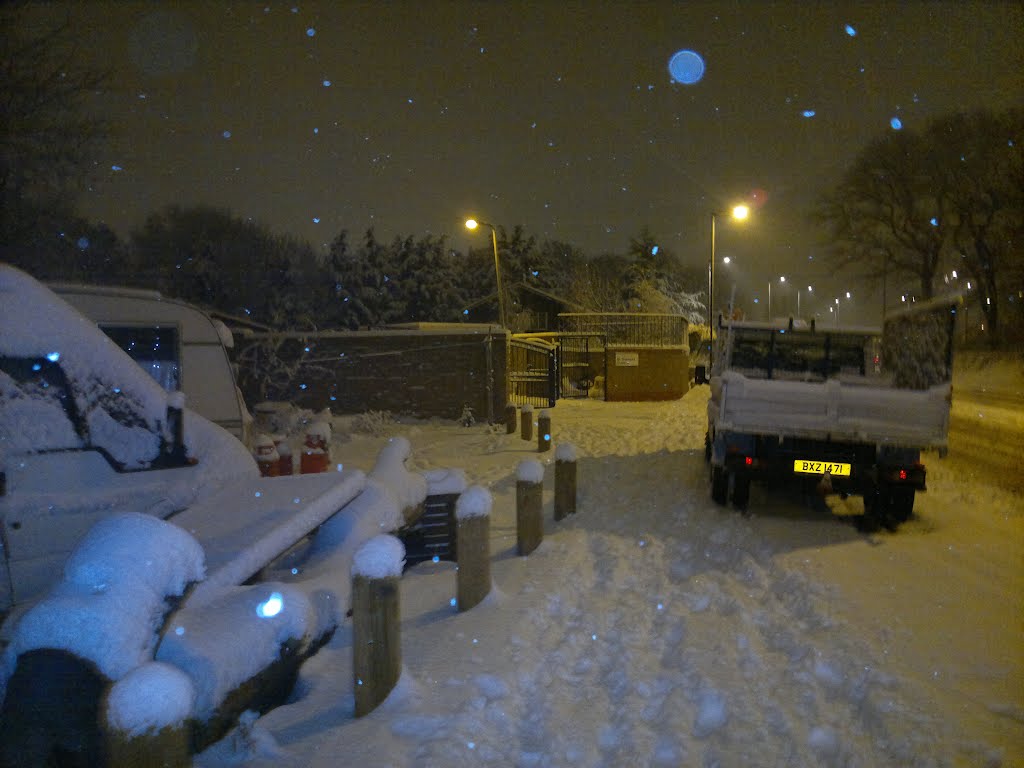 The cars on Hamerton Rd full of snow by mariana creanga