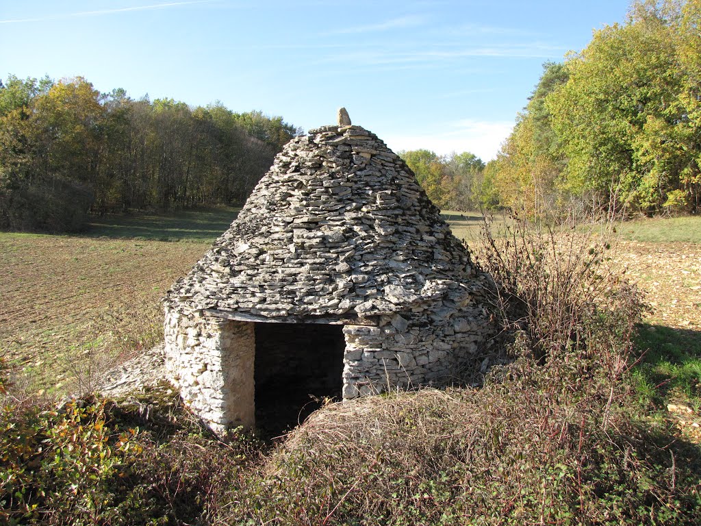 Cabane près de la Trémouille - Savignac-les-Eglises - Dordogne by Max d'Arrieutort