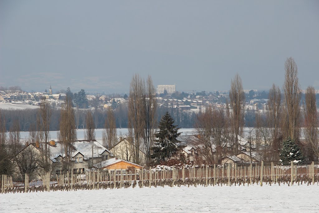 Signal de Bernex in winter by 6004592