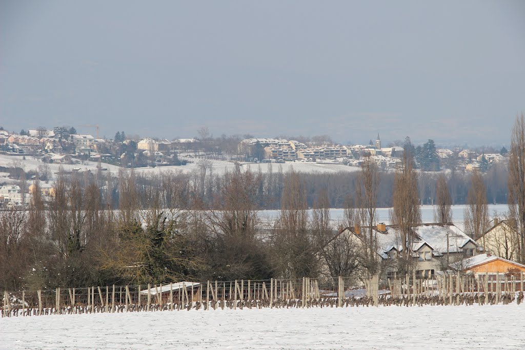 Signal de Bernex in winter by 6004592