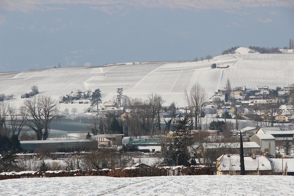 Signal de Bernex in winter by 6004592