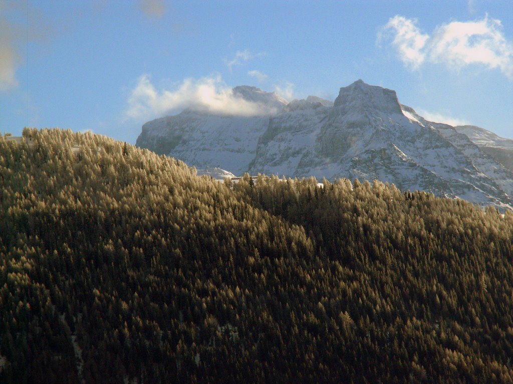 Verzaubert mit feinem Schnee by Norbert Burgener