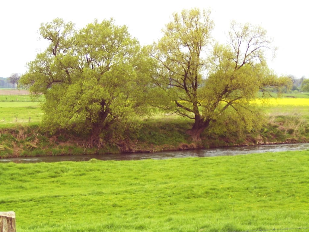 Frühling an der Leine by landbewohner