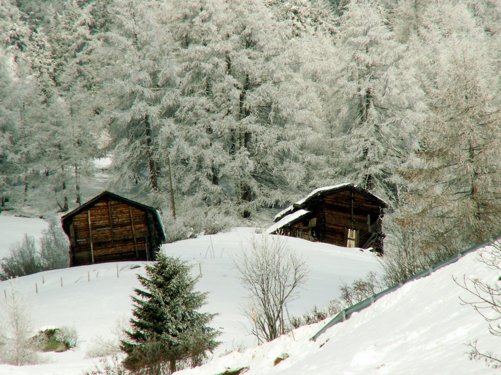 Pulverschnee by Burgener  Norbert