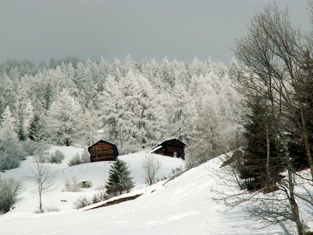 Winterzauber by Norbert Burgener