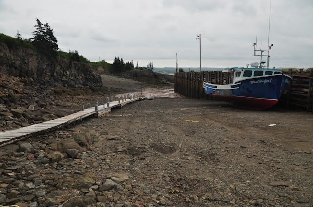 Cape Split Trailhead by Marko Stavric