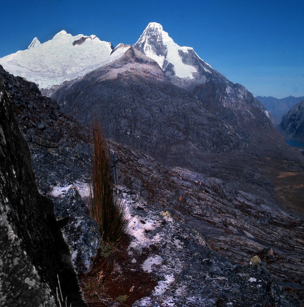 Artesanraju, Cordillera Blanca by eva lewitus