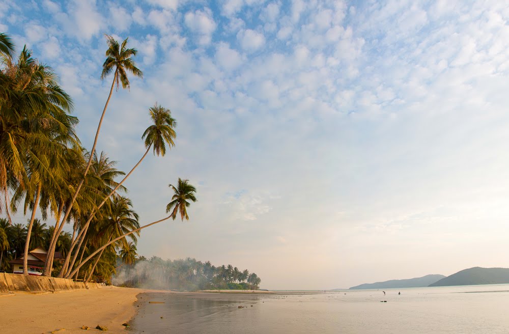 Samui Beach by Calvados