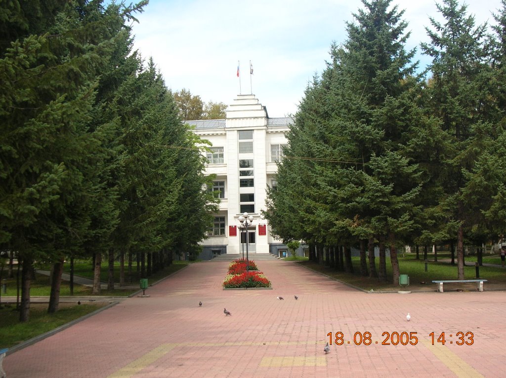 Town-hall by abergaz