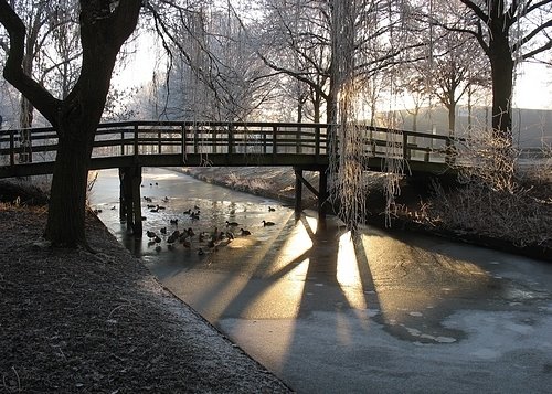 Eendjes op ijs in de Huizer singel by Chris10 ©