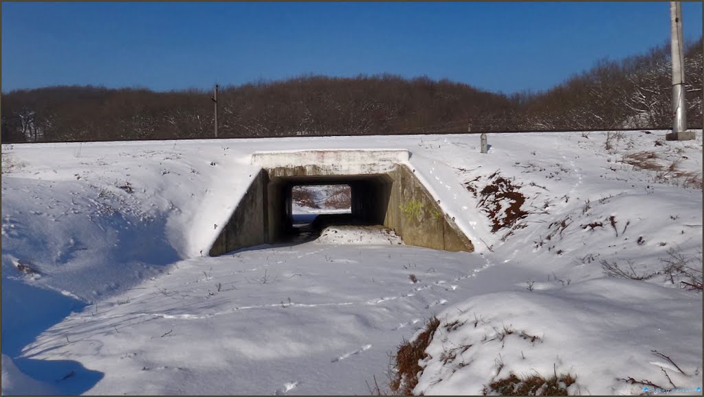 Маленький тоннель ... - A small tunnel ... by Евгений Перцев ©