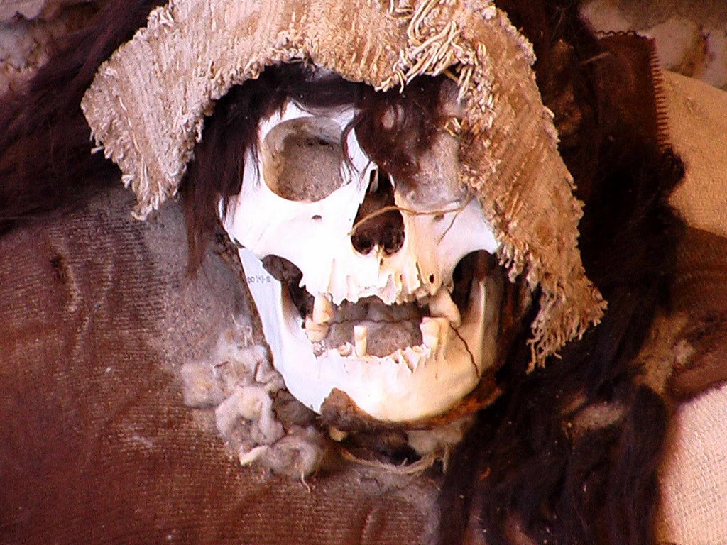 Mummy in the ancient precolumbian cemetery of Chauchilla, Peru by Nicola e Pina Peru