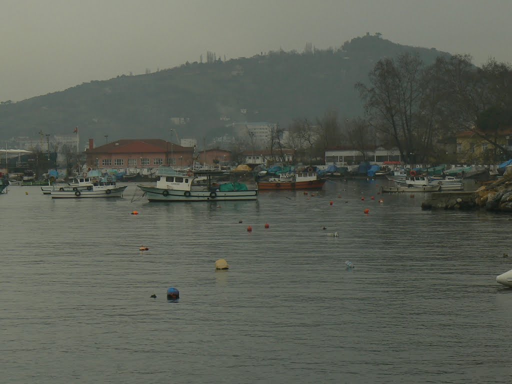 Orhanlar, Atatürk Blv. No:23, 67300 Ereğli/Zonguldak, Turkey by Cemalettin Ünlü