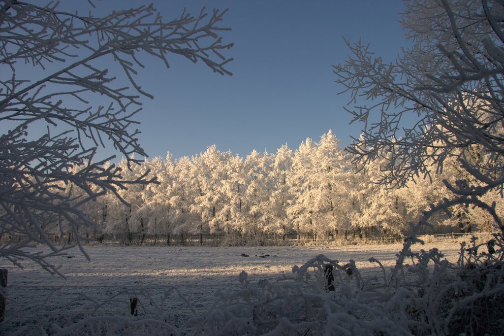 Het Goor, Mierlo-hout, Helmond by Wim Janssen