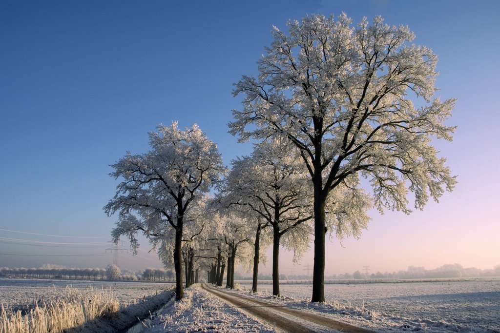 Pad naar sluis 8, Het Goor, Mierlo-hout, Helmond by Wim Janssen