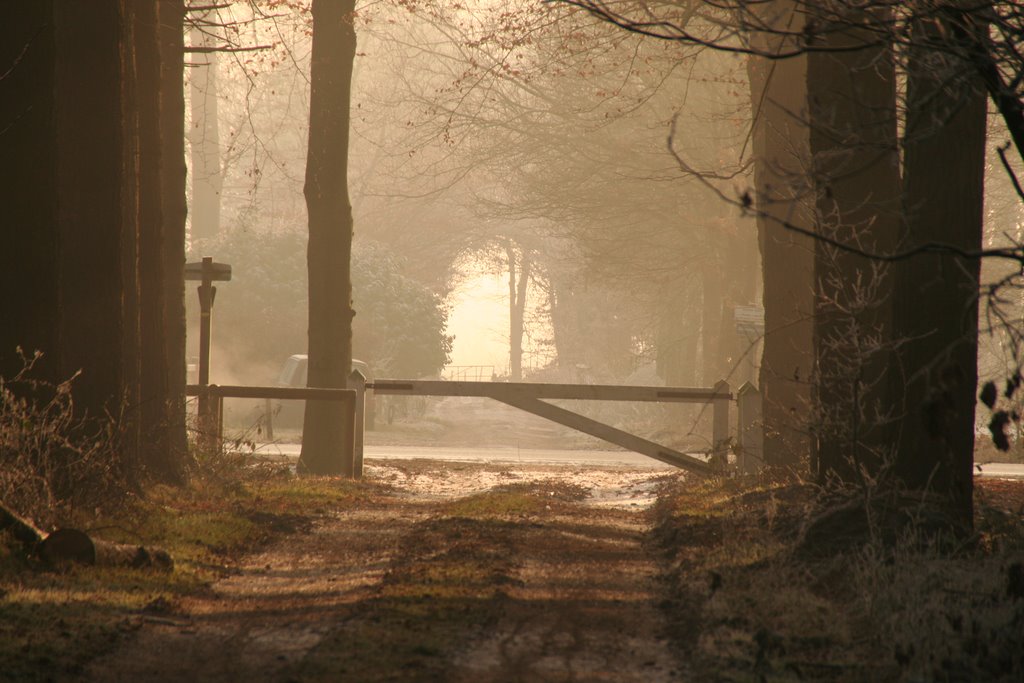 Winters tafereel zijstraat Biltseweg, Soest by machielgroenevelt