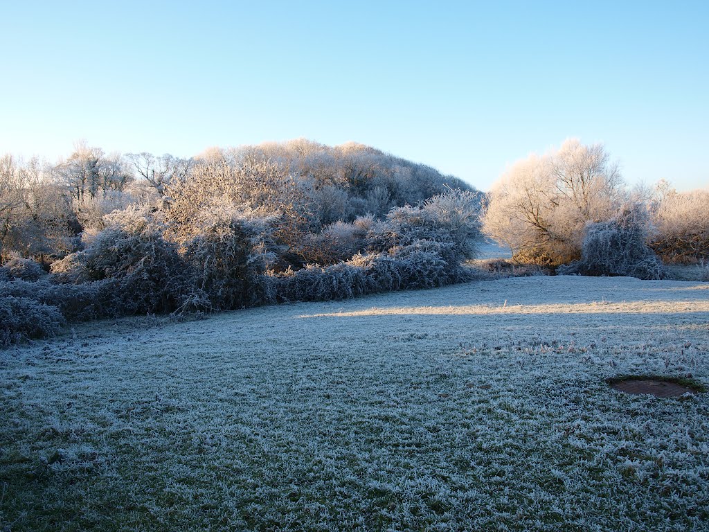 Heavy Frost by Bob Parry