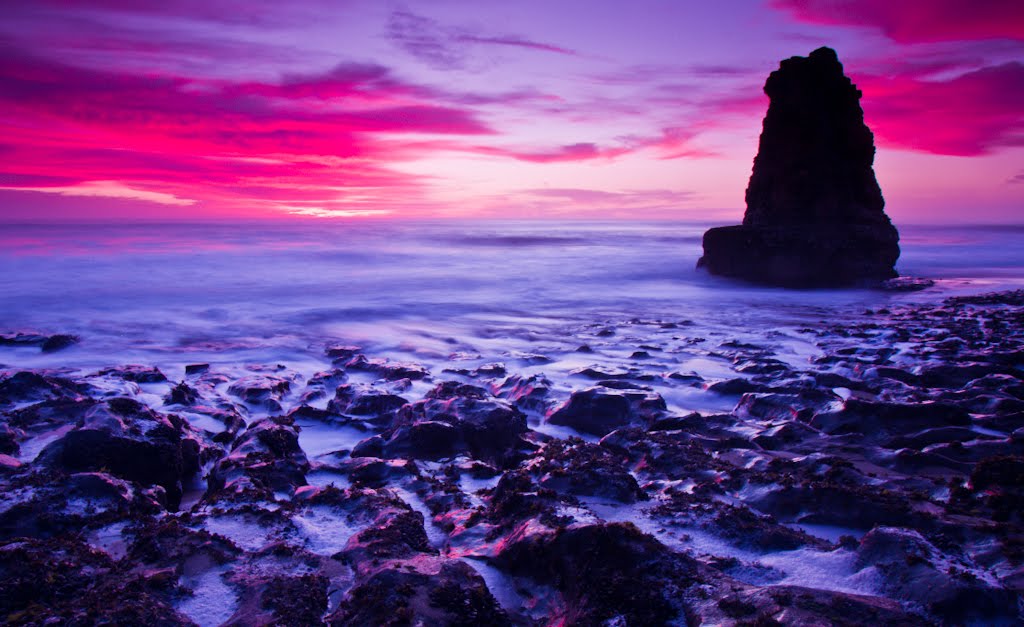 Davenport Beach by Brad Brown