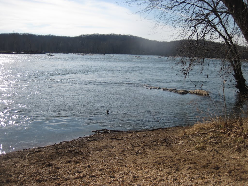 The potomac from the GW loop beach takeout by midatlanticriverrat