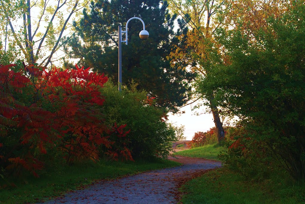 Autumn in Toronto by RinoBarone