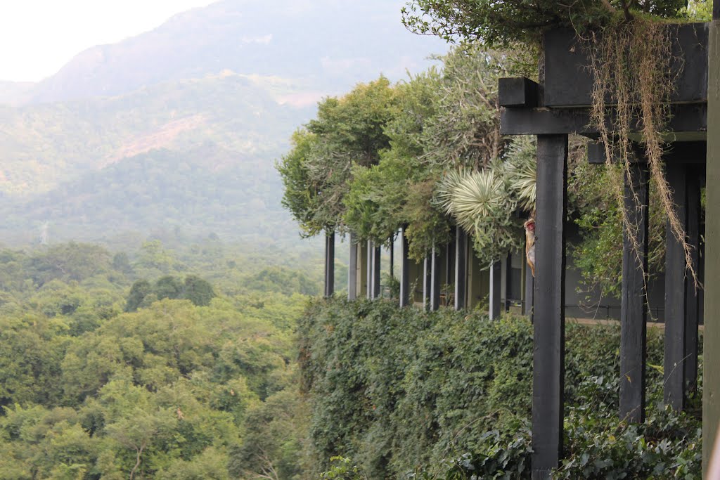 Heritance Kandalama hotel, intigrated in nature, thanks to the architect Geoffrey Bawa by Dr.Azzouqa